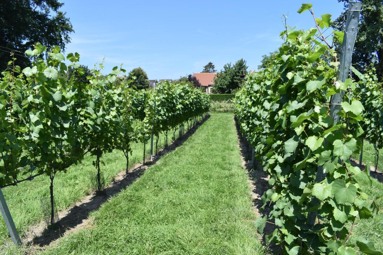 B&B Gellick Lanaken Bagian luar foto